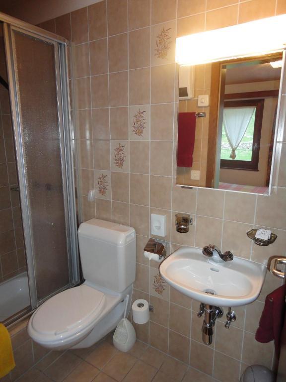 Ristorante Garni Lavizzara Hotel Sornico Bilik gambar